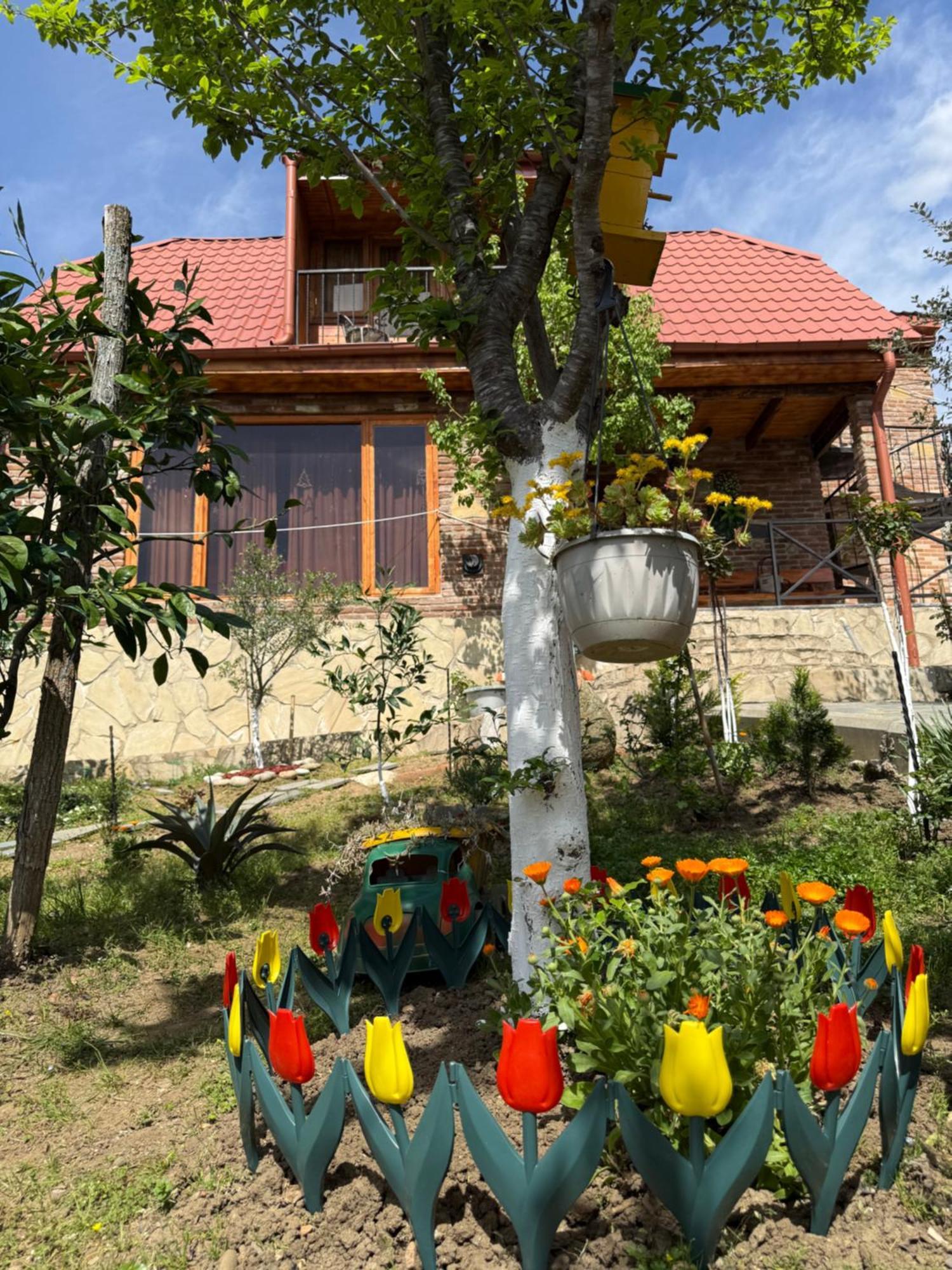 Villa Sunshine House Kutaisi Exterior foto